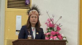 Ketua Fraksi Partai Demokrat DPRK Mimika, Dessy Putrika, soroti penyelesaian mogok kerja Karyawan PTFI